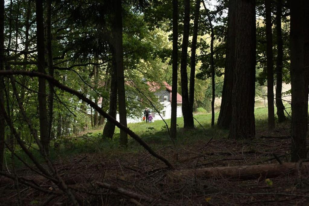 Wald-Apartment Limabach - Oberfrohna 외부 사진