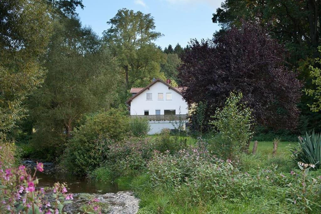Wald-Apartment Limabach - Oberfrohna 외부 사진