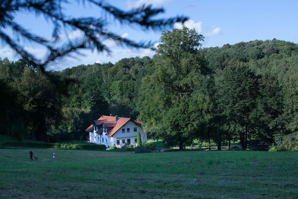 Wald-Apartment Limabach - Oberfrohna 외부 사진