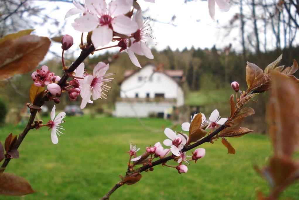 Wald-Apartment Limabach - Oberfrohna 외부 사진