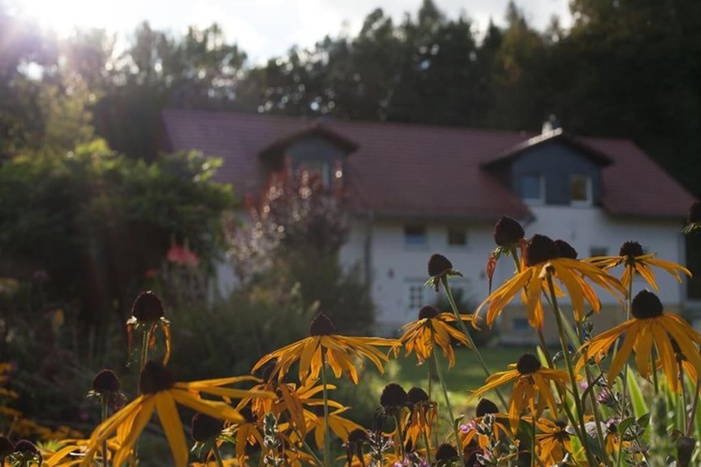 Wald-Apartment Limabach - Oberfrohna 외부 사진