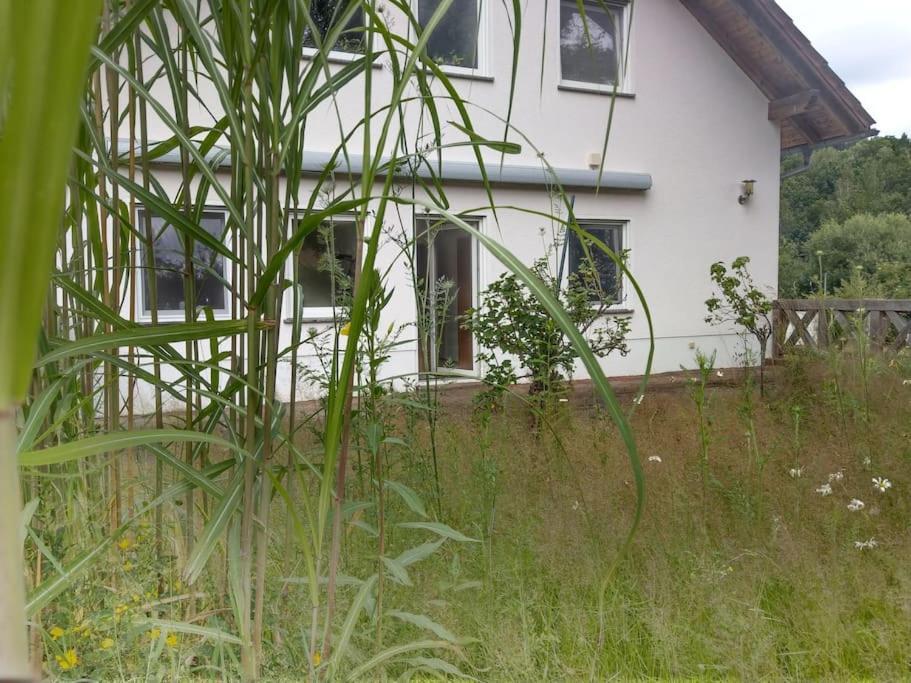 Wald-Apartment Limabach - Oberfrohna 외부 사진