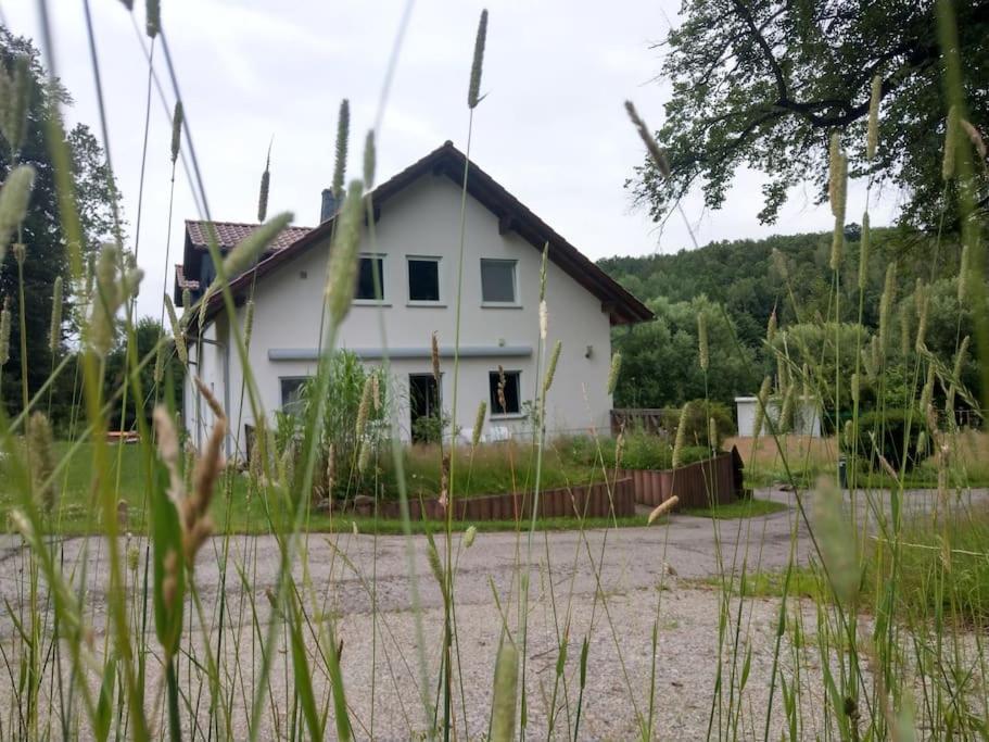 Wald-Apartment Limabach - Oberfrohna 외부 사진