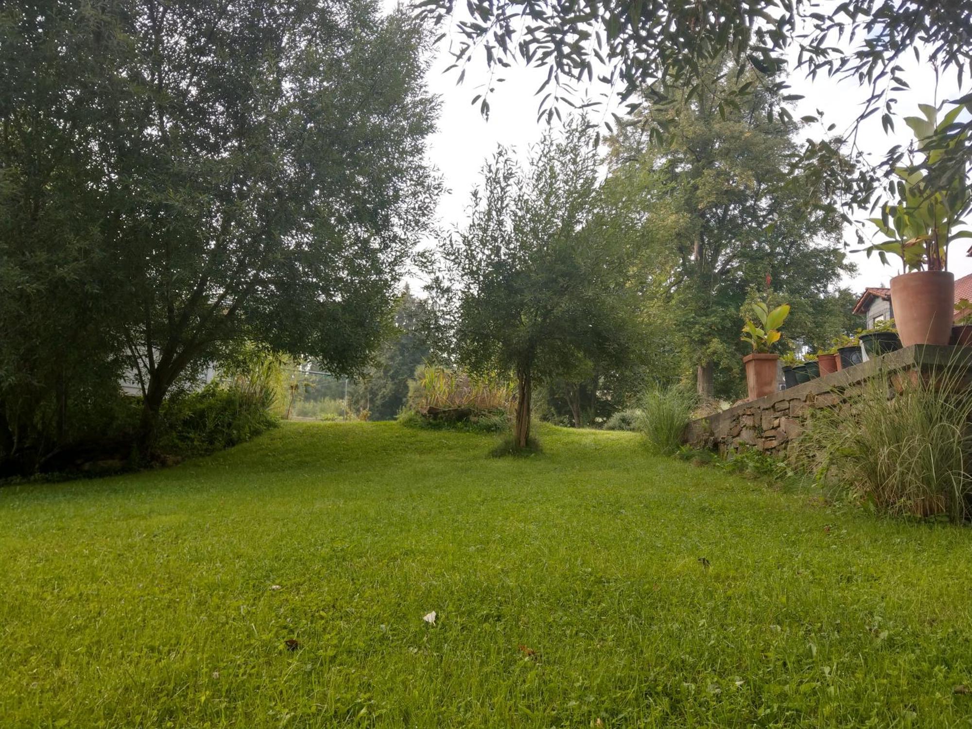 Wald-Apartment Limabach - Oberfrohna 외부 사진
